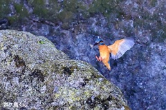 これ　何してる?  2