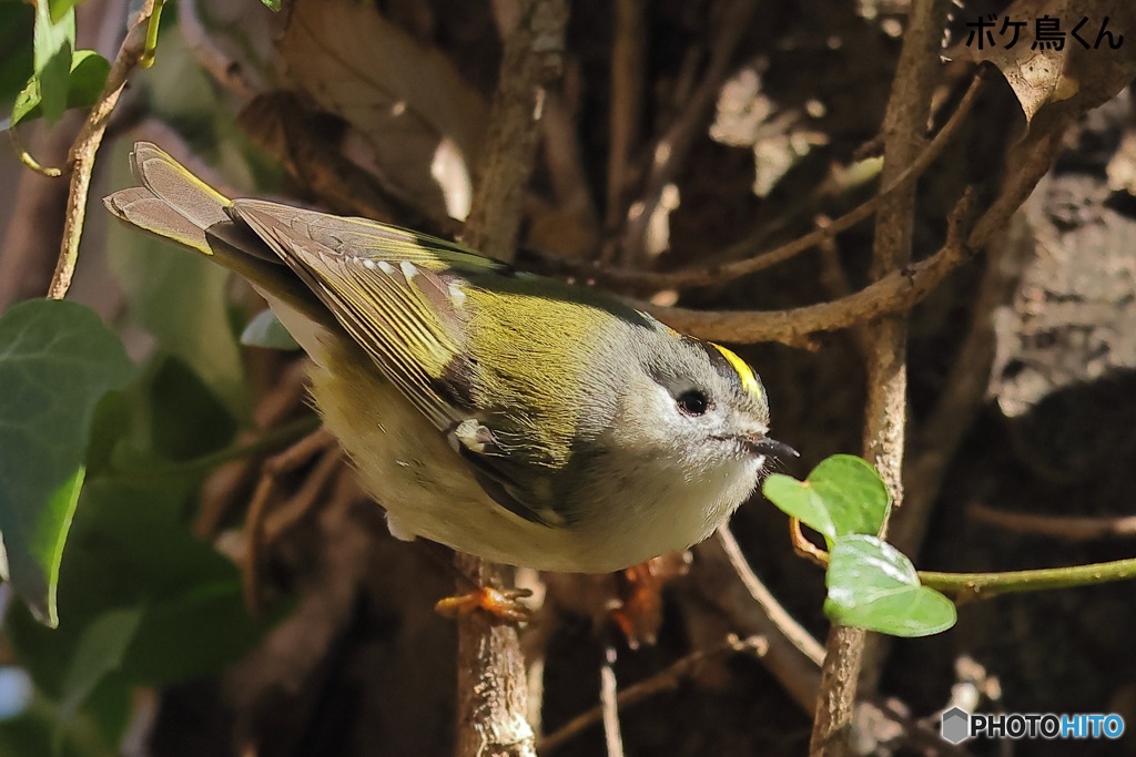 やっと会えた2年ぶり