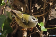 やっと会えた2年ぶり