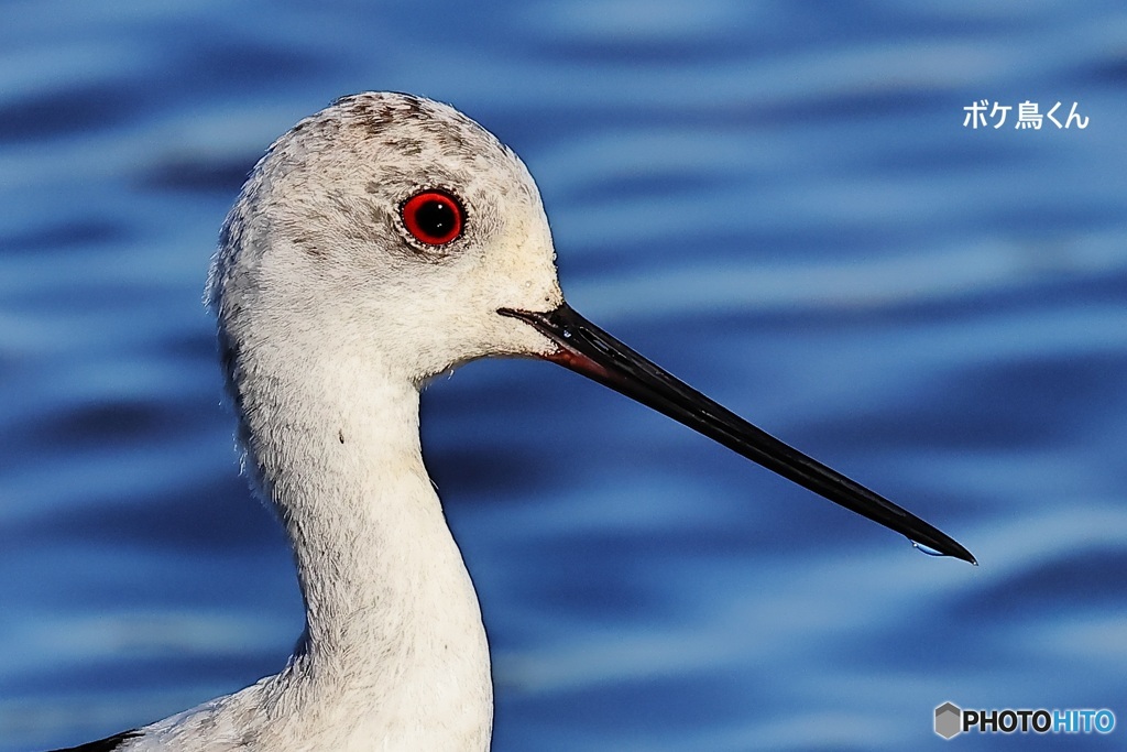 横目でにらまれた