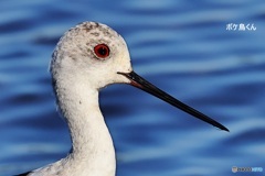 横目でにらまれた