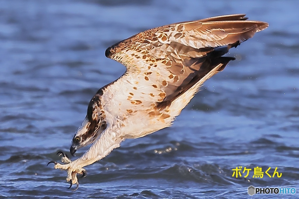 いきなり始まった