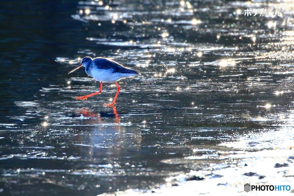 えっ　まだいたの　1