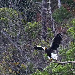 山本山のおばあちゃん