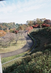 秦野戸川公園