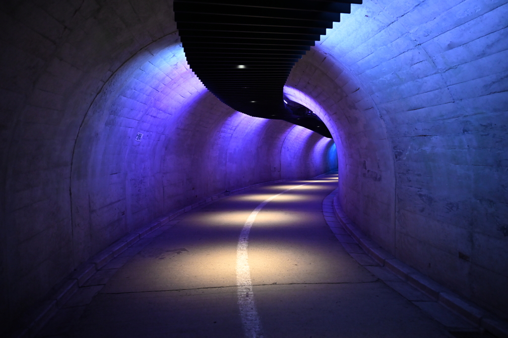 袋だの滝へ導く光