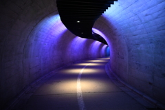 袋だの滝へ導く光