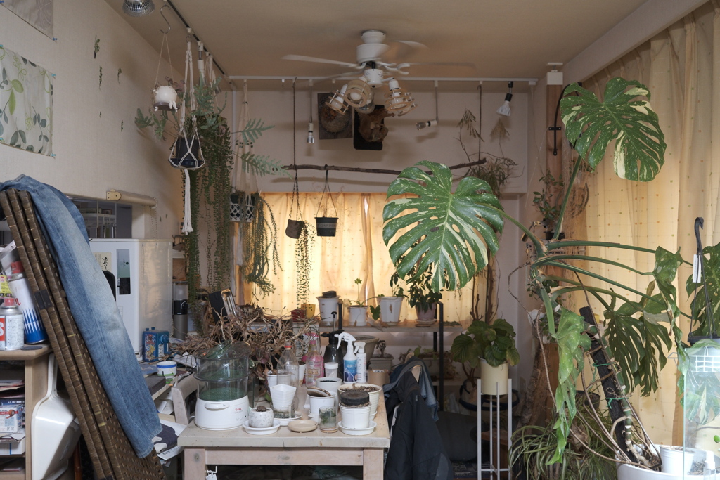 フィルムシュミレーション