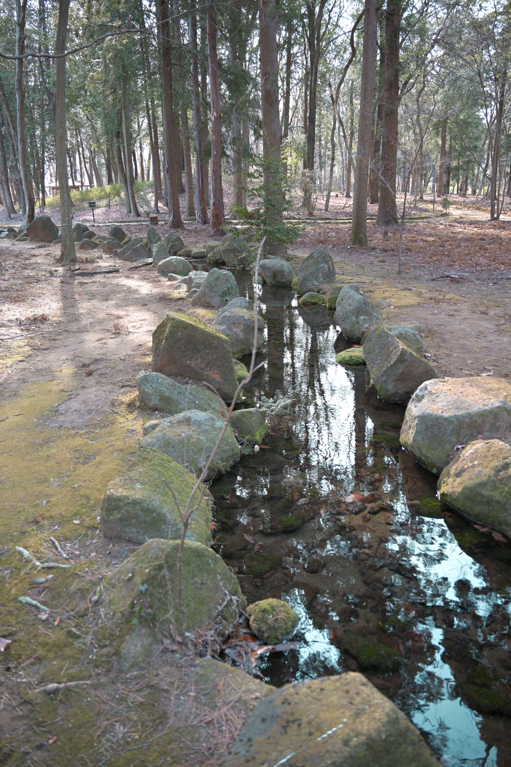 リフレクション