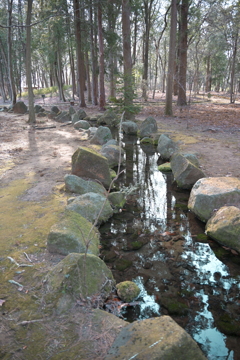 リフレクション