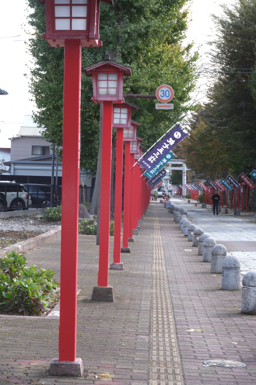参道・銀杏並木と灯篭並木