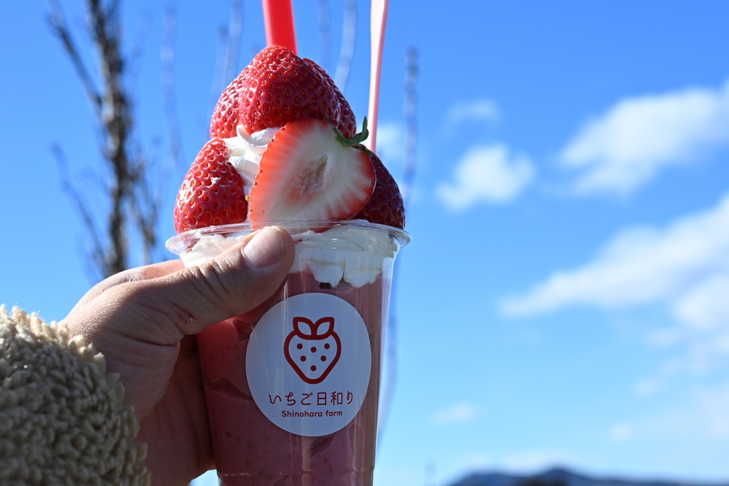 いちごが食べたくて
