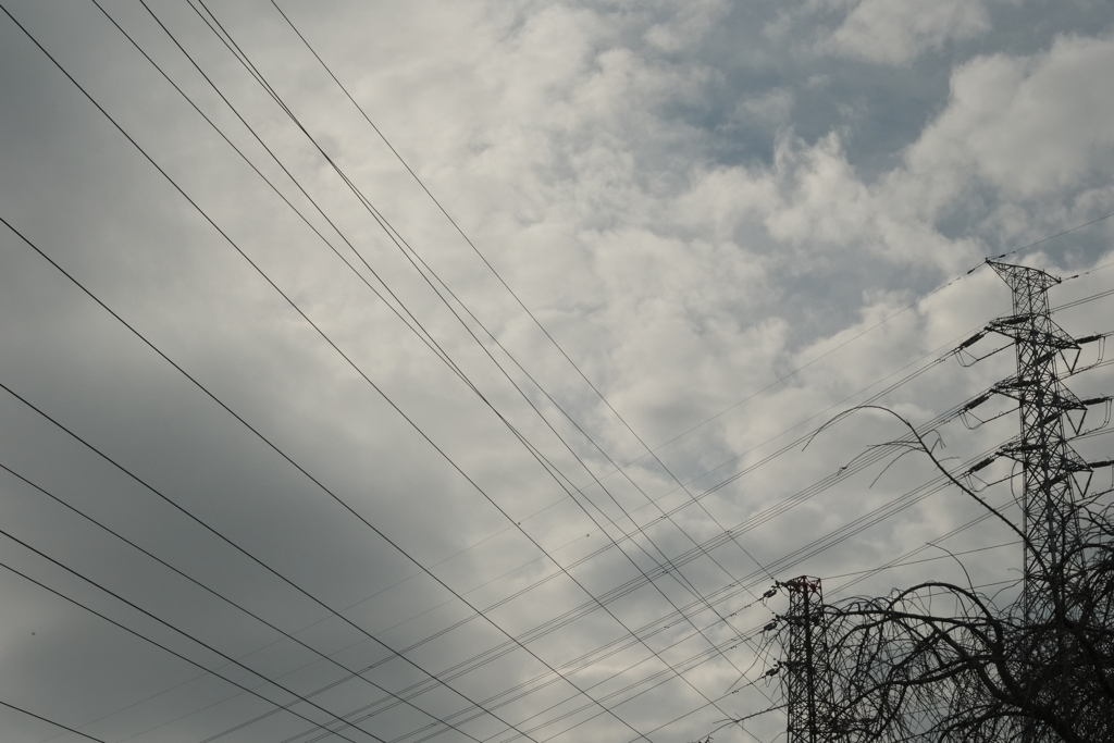 空に掛かる電線