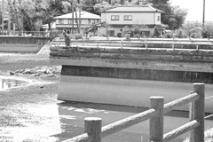 ひとりタイタニック