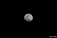 満月まであと2日目