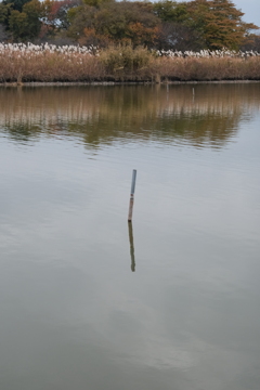 忍者は今も居たんだ！！