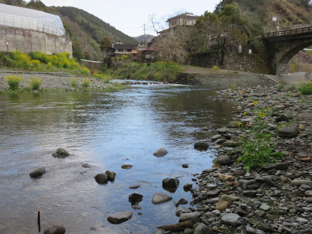 春の上流域