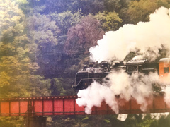 大井川シリーズ④ 頑張る！でも遅い！