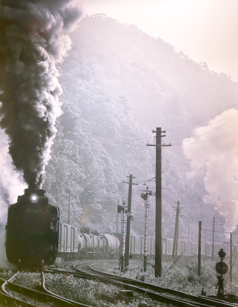 関西本線　大河原付近