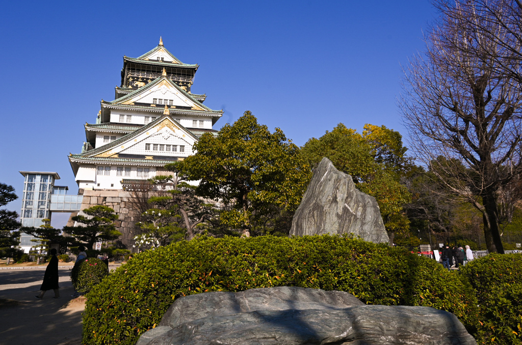 ザオオサカ‼️