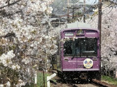 嵐電　鳴滝駅と宇多野駅間