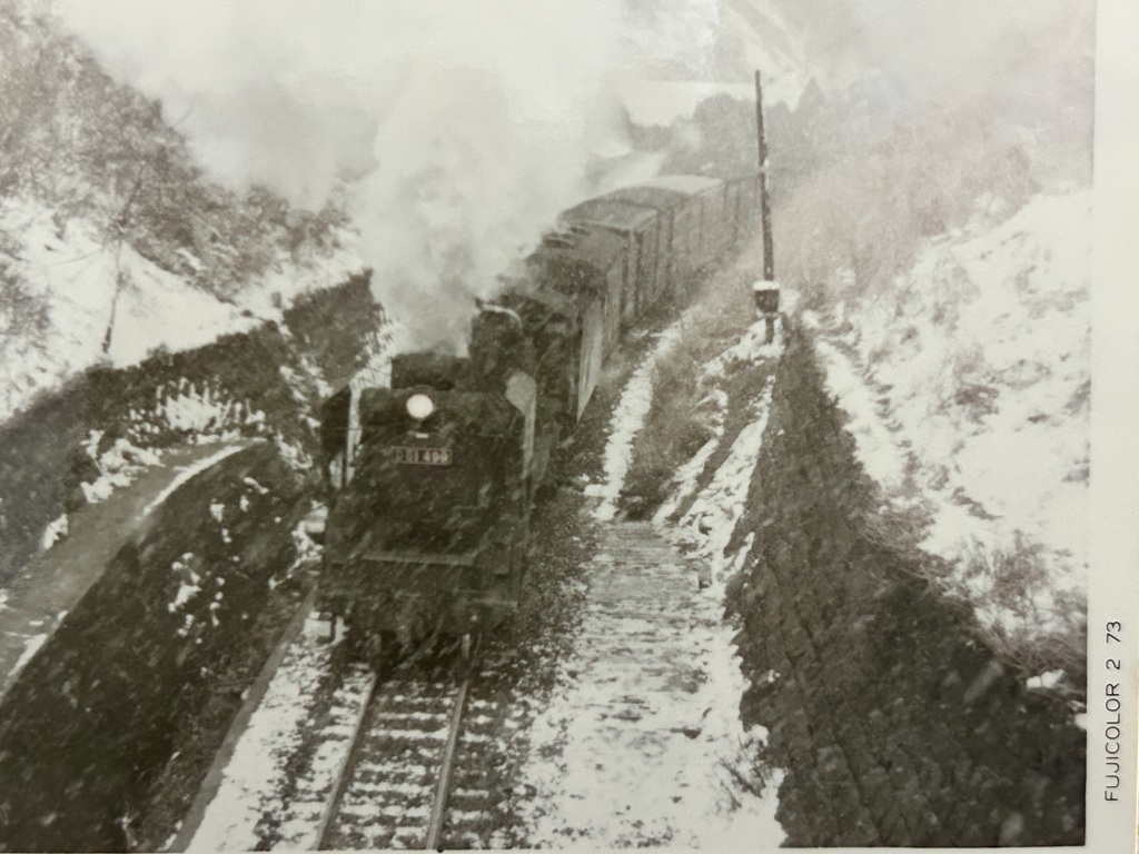 D51 499    第２弾