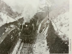 D51 499    第２弾