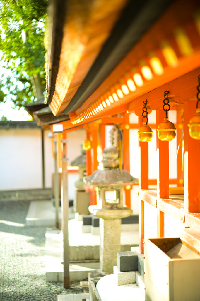 伏見稲荷神社！