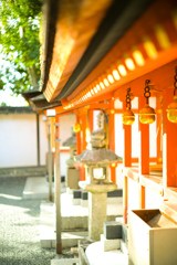 伏見稲荷神社！