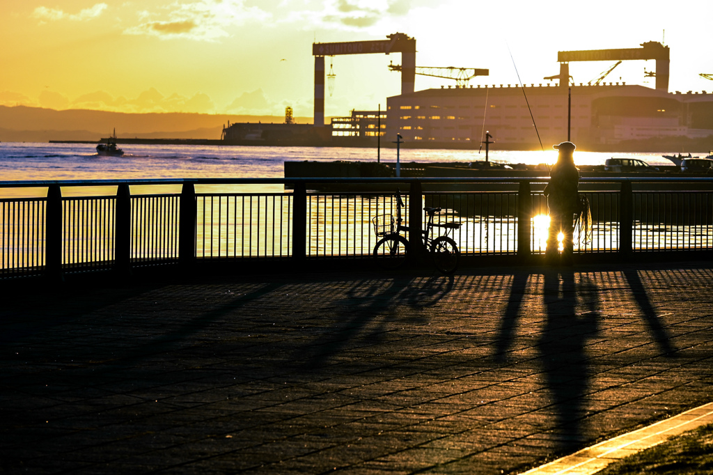 黄金色に染まる