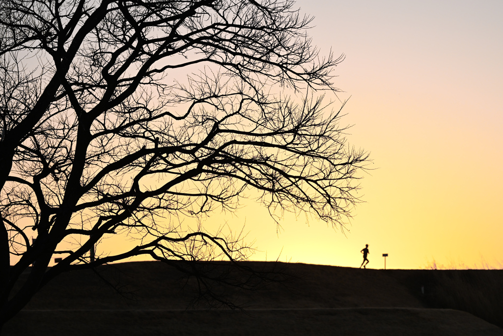 新たな一日の始まり