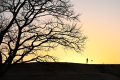 新たな一日の始まり