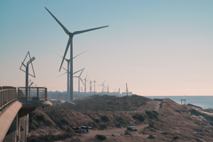 圧倒的な存在感