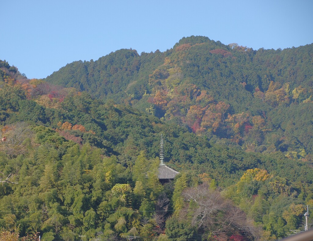奈良県 当麻寺 東塔