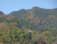 奈良県 当麻寺 東塔