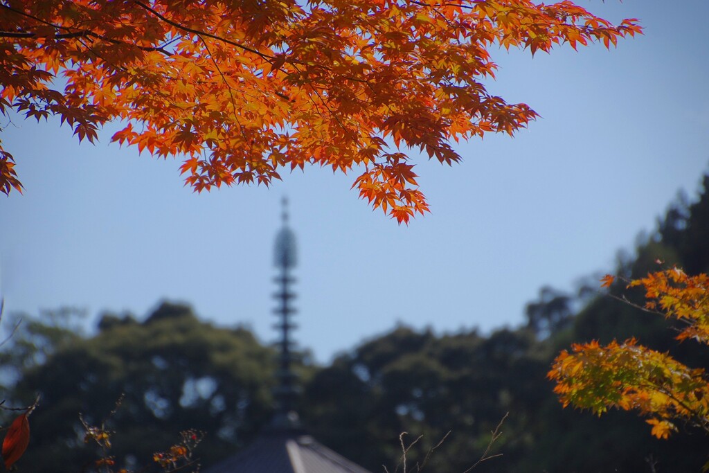奈良県　当麻寺