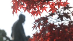 秀吉像と赤モミジ