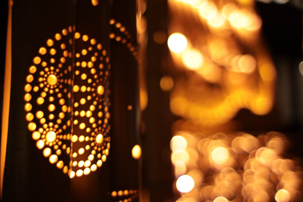 トビシマライツ