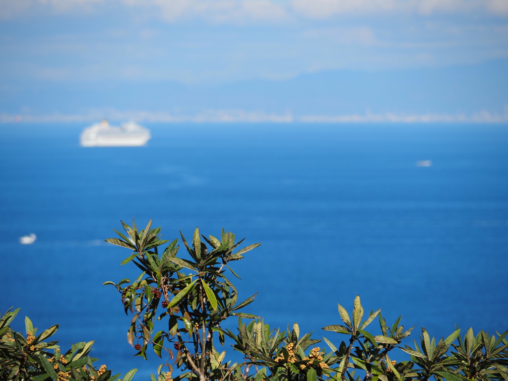 夏を思わせる晩秋の海、友ヶ島