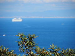 夏を思わせる晩秋の海、友ヶ島