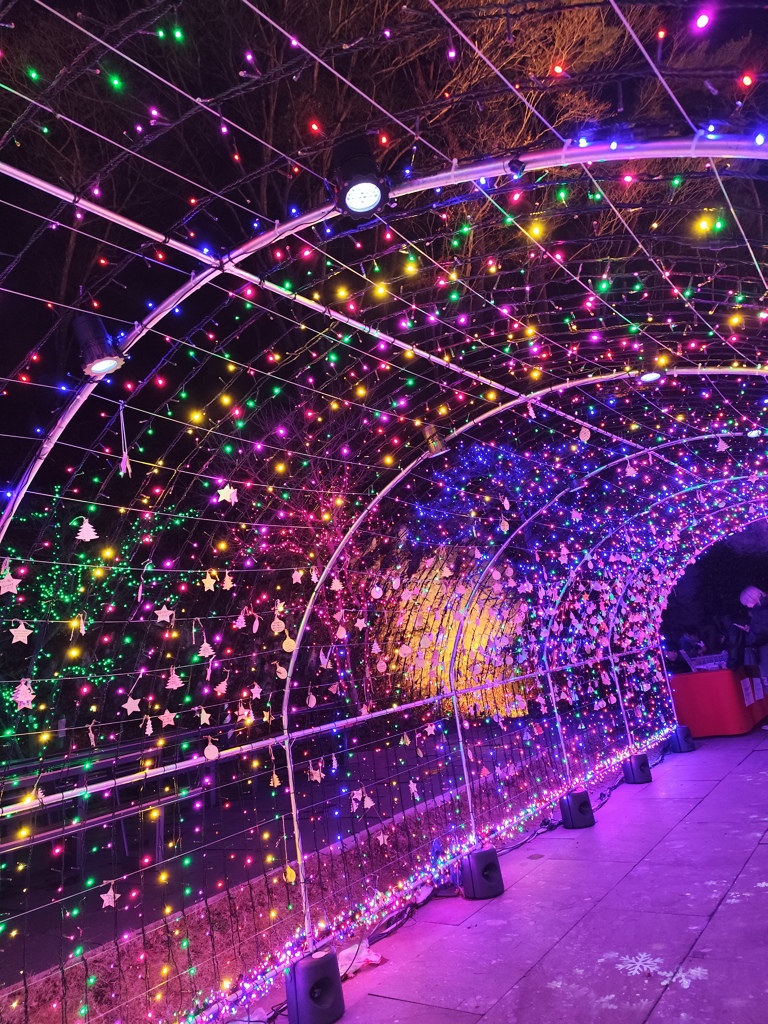 宮城・松島ハーバーライト2025