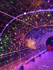 宮城・松島ハーバーライト2025