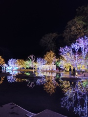 宮城・松島ハーバーライト2025