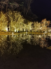 宮城・松島ハーバーライト2025