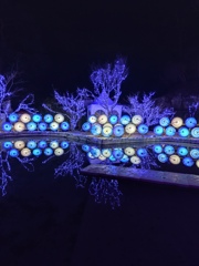 松島ハーバーライト2025