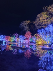 宮城・松島ハーバーライト2025