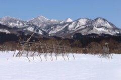 はざぎの風景35