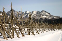 はざきの風景08