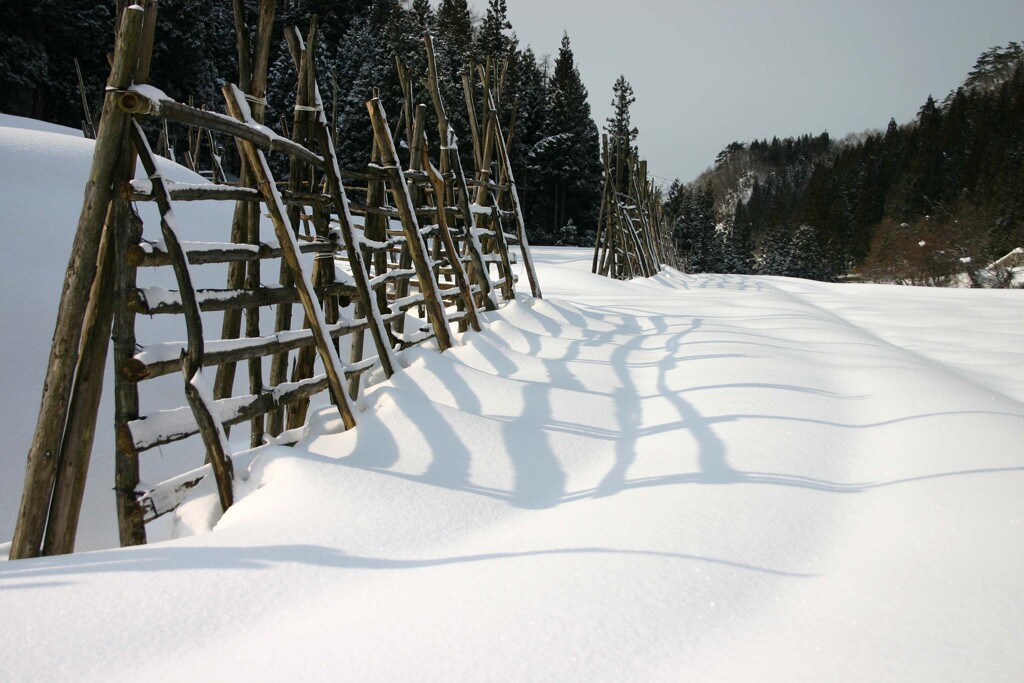 はざきの風景09
