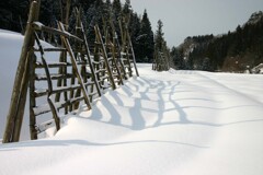 はざきの風景09